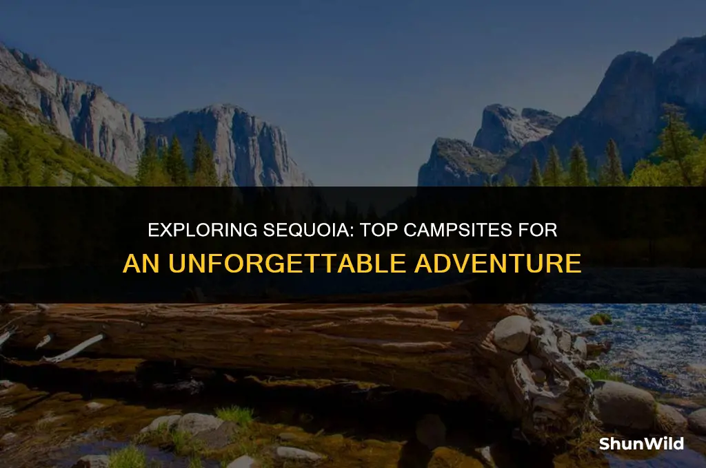 where to camp in sequoia