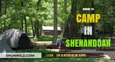 Discover Shenandoah's Best Campsites: A Guide to Outdoor Bliss