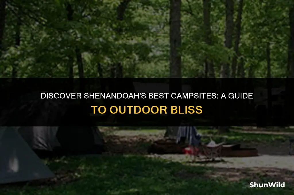 where to camp in shenandoah