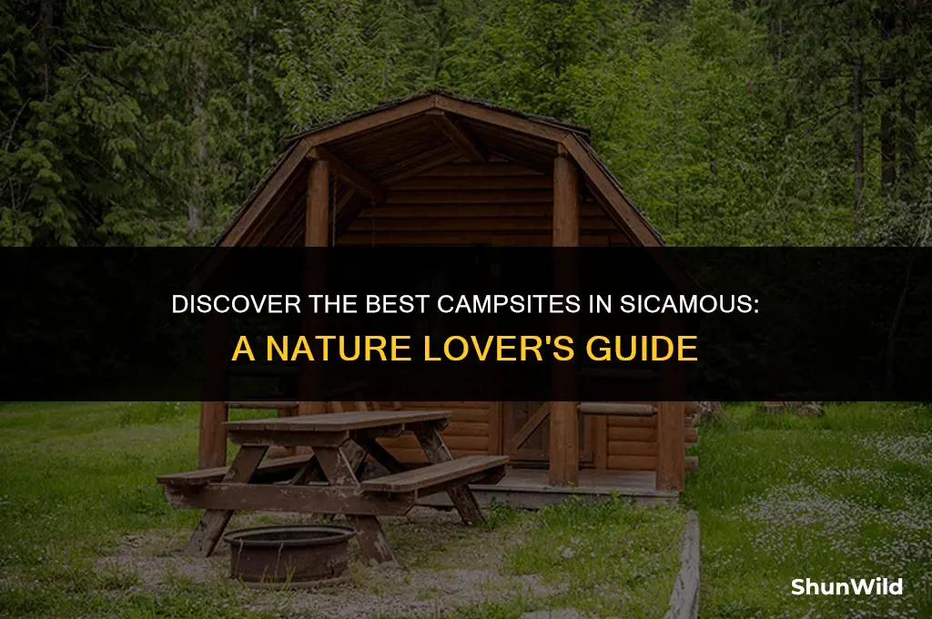 where to camp in sicamous