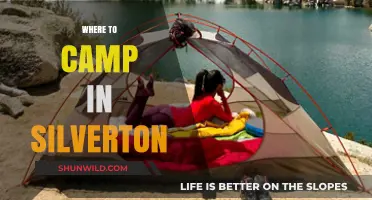 Discover the Best Campsites in Silverton: A Guide to Outdoor Bliss