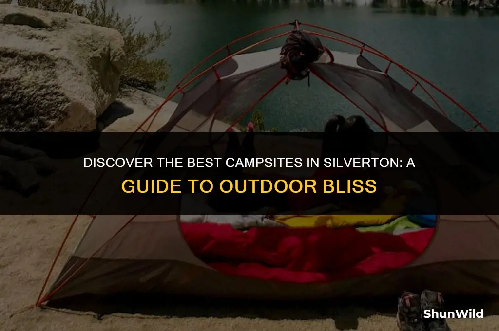 where to camp in silverton