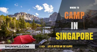 Discover Singapore's Best Kept Camping Secrets: A Local's Guide