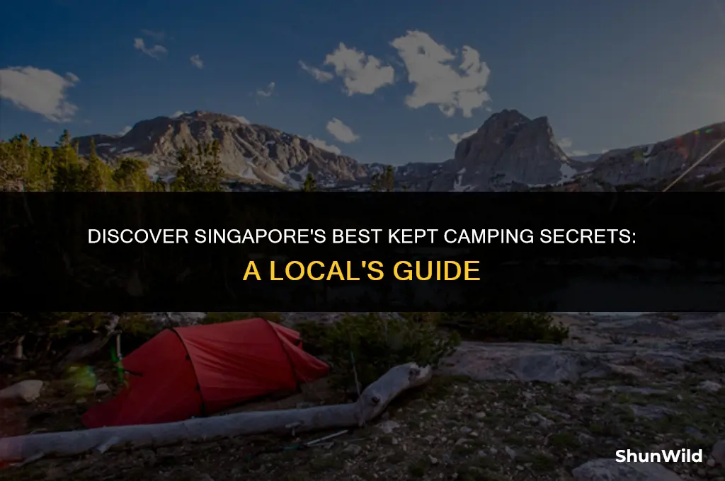 where to camp in singapore