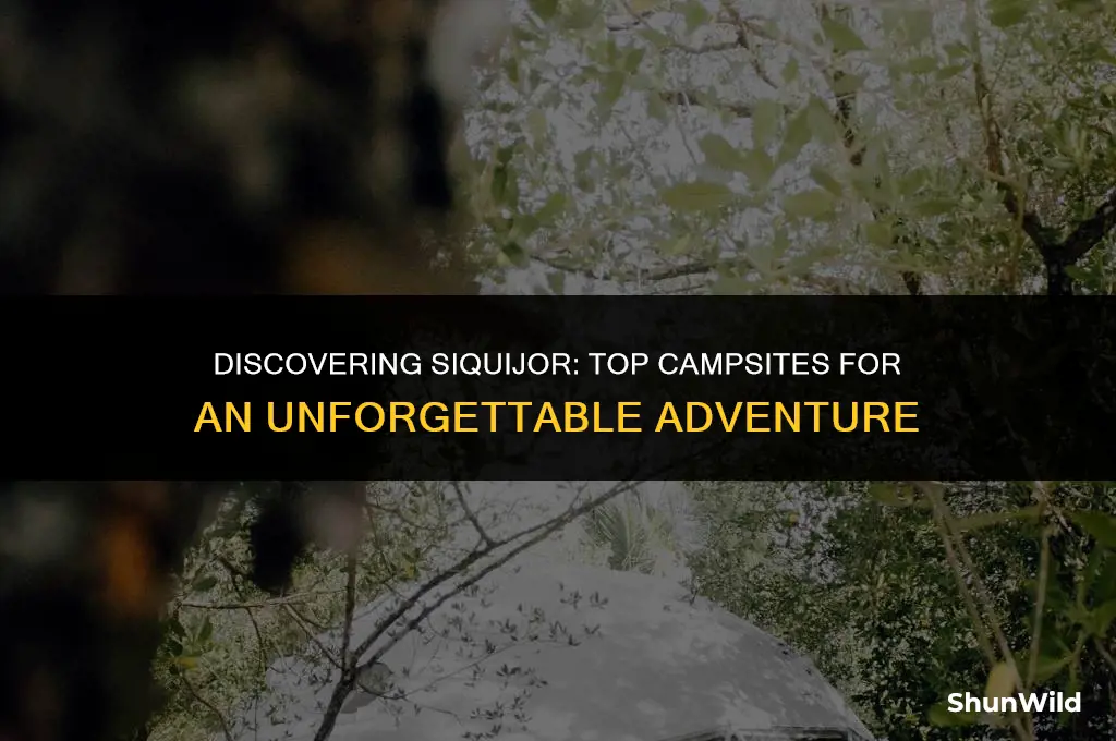 where to camp in siquijor