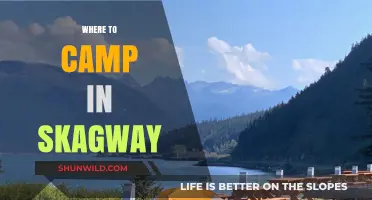 Discover the Best Campsites in Skagway: A Guide for Outdoor Enthusiasts