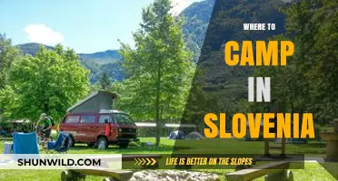 Discover Slovenia's Hidden Gems: Top Campsites for Nature Lovers