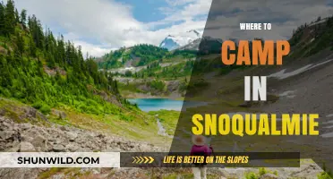 Discover the Best Campsites in Snoqualmie: A Guide to Outdoor Bliss