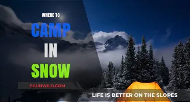 Winter Wonderland: Top Spots for Snowy Camping Adventures