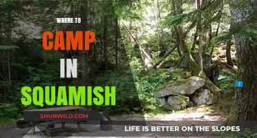 Discover the Best Campsites in Squamish: A Guide to Outdoor Bliss