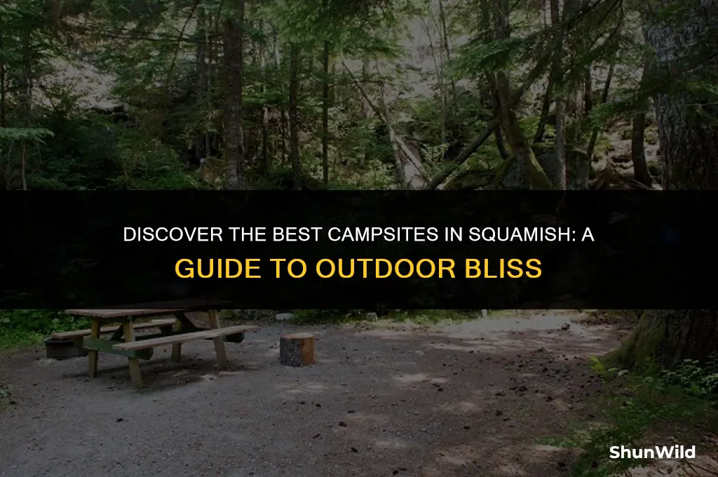 where to camp in squamish