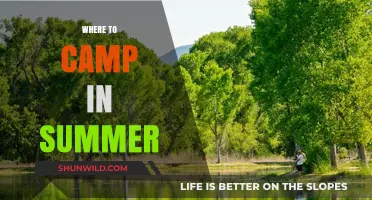 Top Summer Camping Spots: Unwind in Nature's Embrace