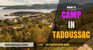Discover the Best Campsites in Tadoussac: A Nature Lover's Guide