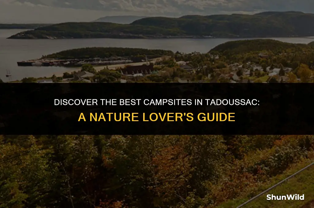 where to camp in tadoussac