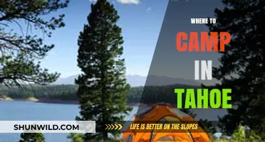Discover Tahoe's Best Camping Spots: A Guide to Outdoor Adventures