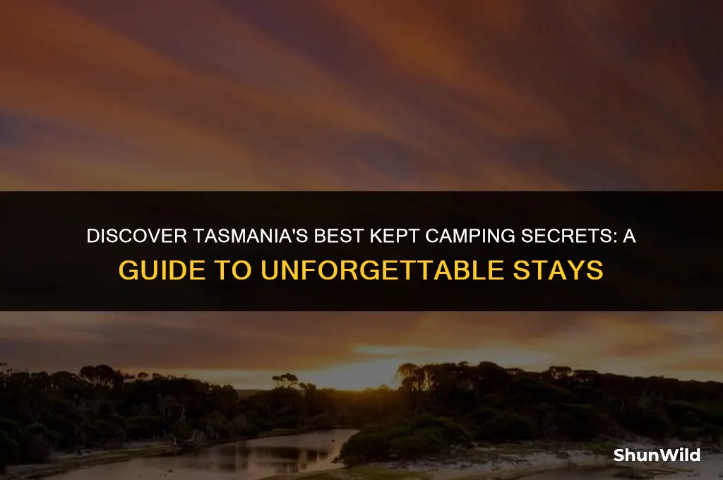 where to camp in tasmania