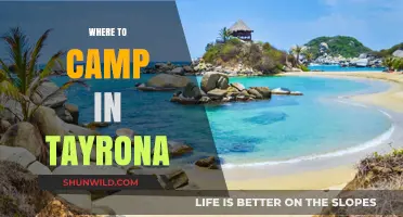 Discovering Tayrona: Top Campsites for an Unforgettable Adventure