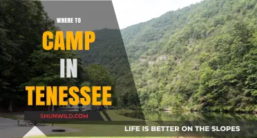 Discover Tennessee's Best Campsites: A Guide to Outdoor Adventure