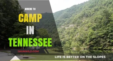 Discover Tennessee's Best Campsites: A Guide to Outdoor Adventure