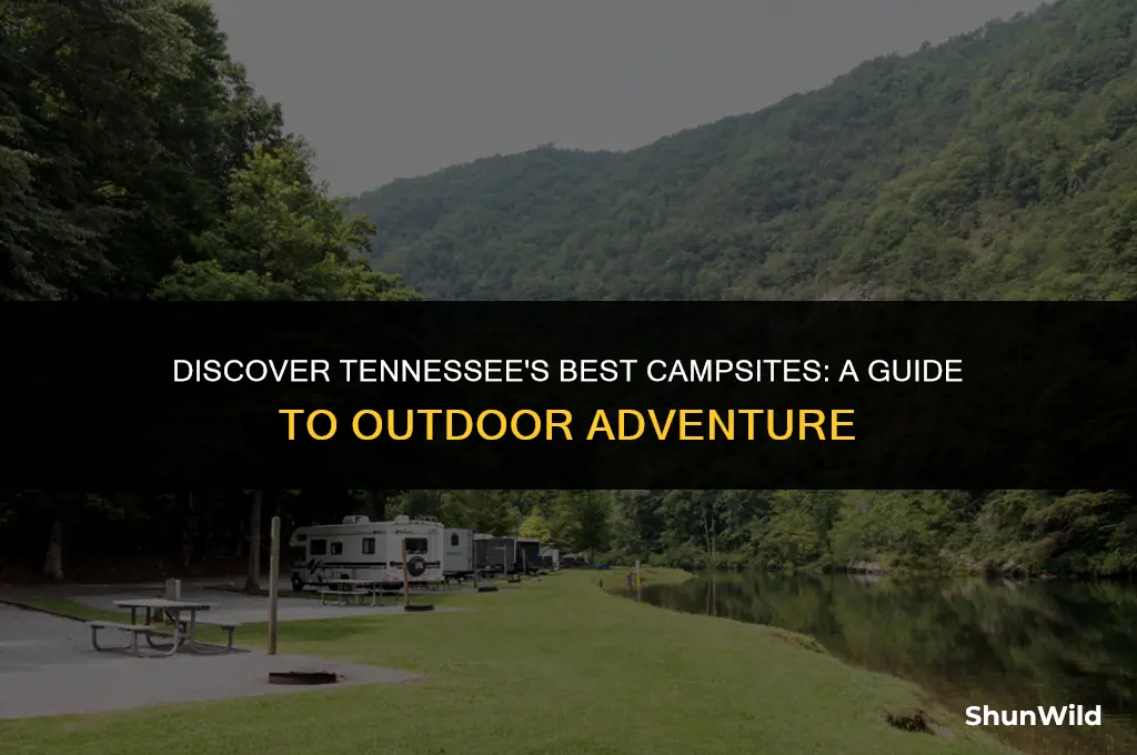 where to camp in tennessee