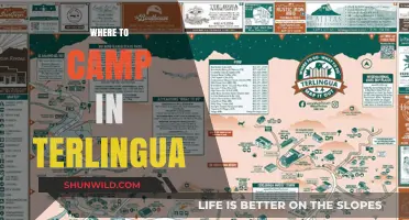Discover the Best Campsites in Terlingua: A Guide to Outdoor Bliss