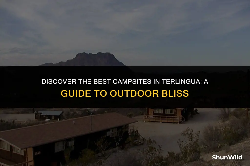 where to camp in terlingua