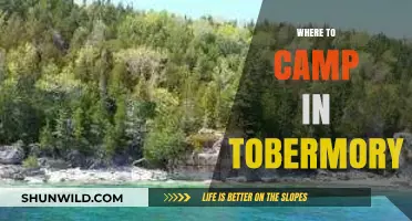 Discover Tobermory's Hidden Gems: The Ultimate Camping Guide