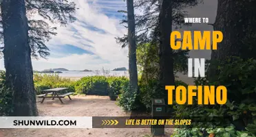 Discover Tofino's Best Campsites: A Guide to Nature's Retreats