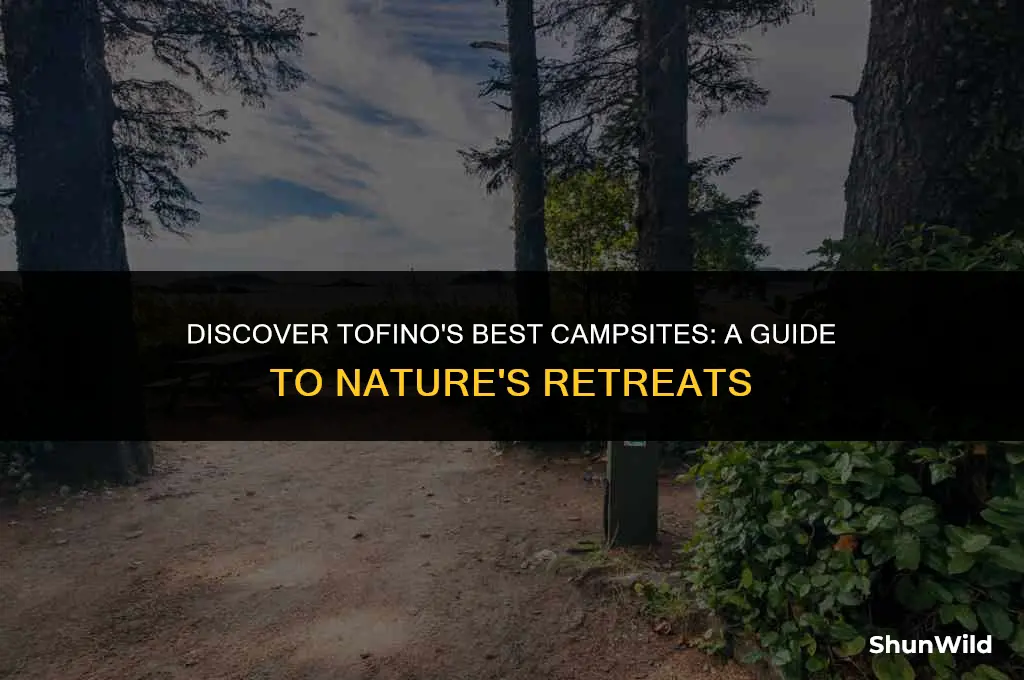 where to camp in tofino