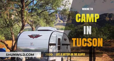 Discover Tucson's Best Campsites: A Guide to Outdoor Adventures