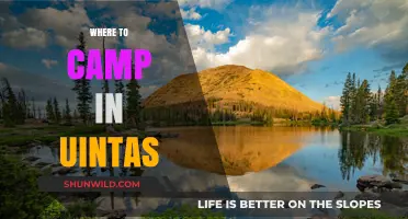 Discover the Best Campsites in Uinta Mountains: A Guide