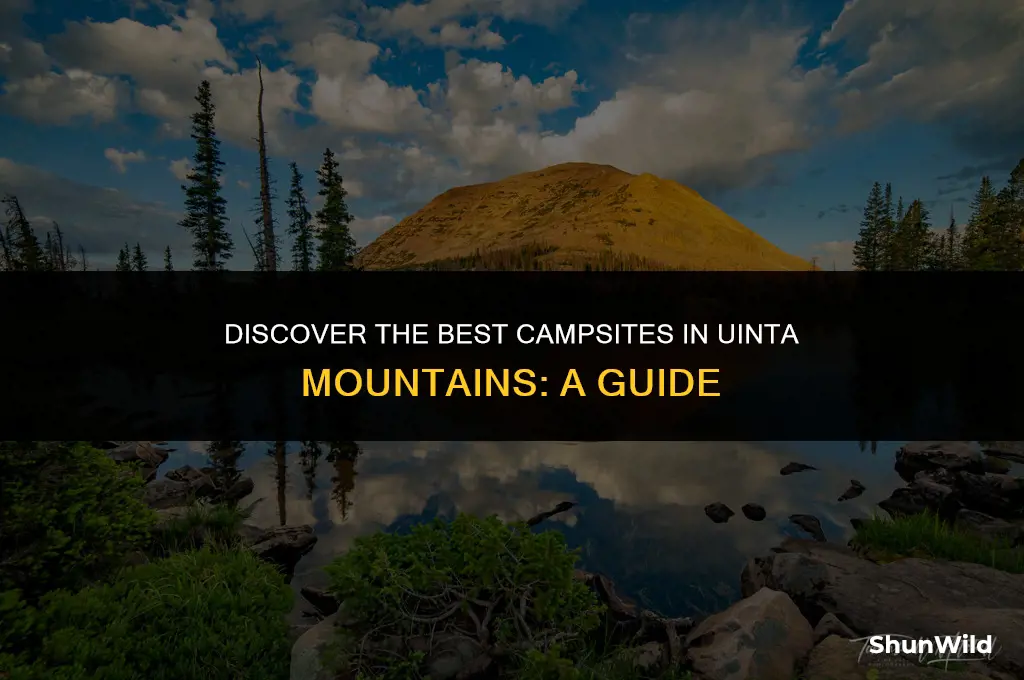where to camp in uintas