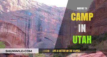 Discover Utah's Best Camping Spots: Scenic Adventures Await Outdoors
