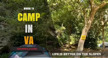 Discover the Best Campsites in Virginia: A Guide to Outdoor Bliss