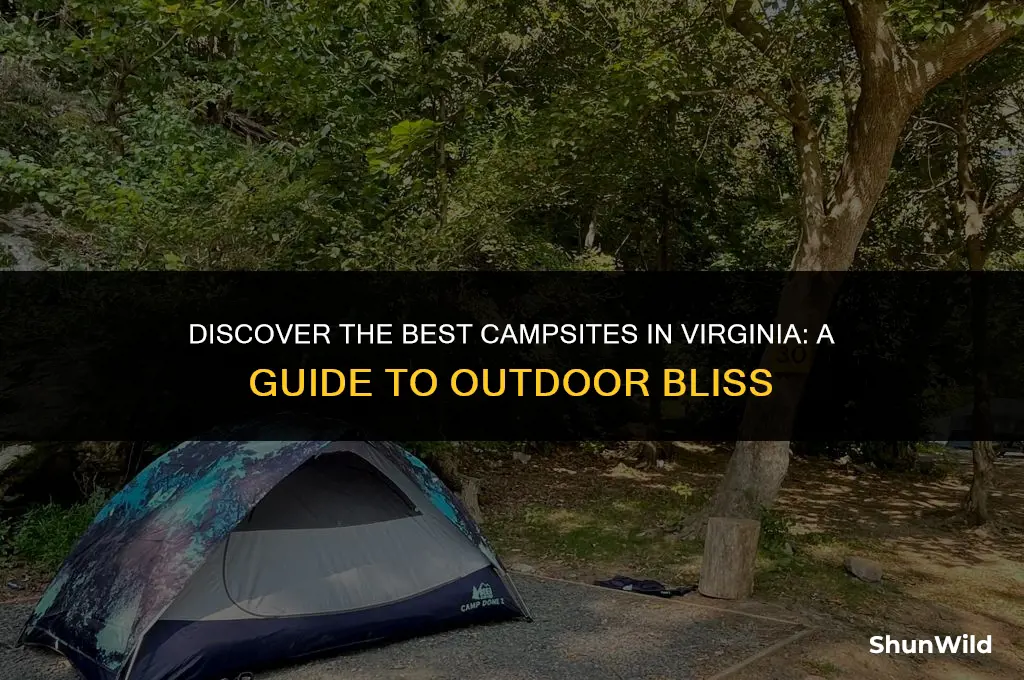 where to camp in va