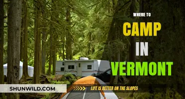 Discover Vermont's Hidden Gems: Top Campsites for Nature Lovers