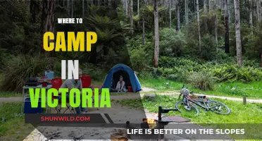 Discover Victoria's Best Kept Camping Secrets: A Local's Guide