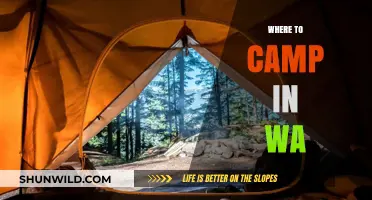 Discover the Best Campsites in Washington: A Guide to Outdoor Bliss