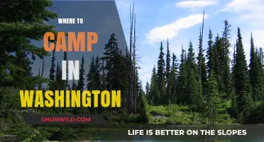 Discover Washington's Best Camping Spots: Nature's Retreats Await You
