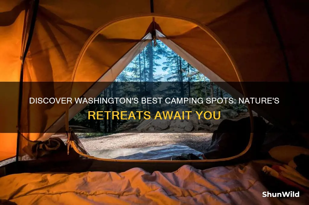where to camp in washington