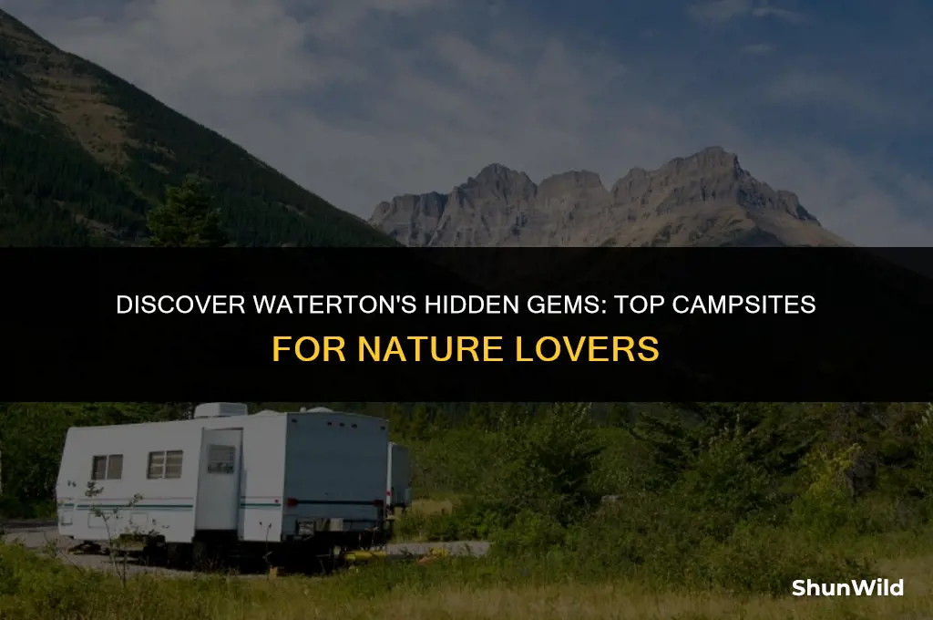 where to camp in waterton