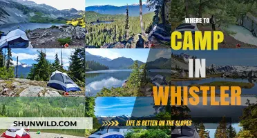 Discover the Best Campsites in Whistler: A Guide to Outdoor Bliss