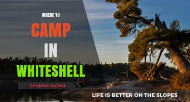Exploring Whiteshell: Top Campsites for an Unforgettable Outdoor Adventure