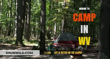 Exploring West Virginia: Top Campsites for an Unforgettable Outdoor Adventure