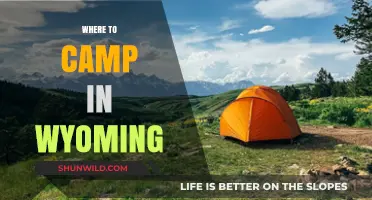 Discover Wyoming's Best Campsites: A Guide to Outdoor Bliss