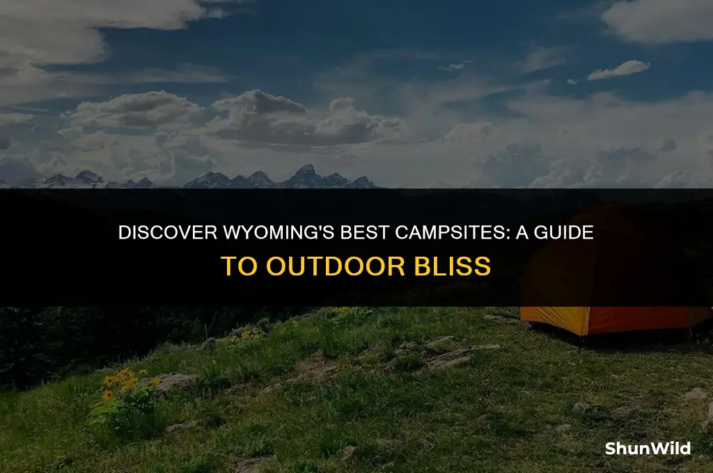 where to camp in wyoming