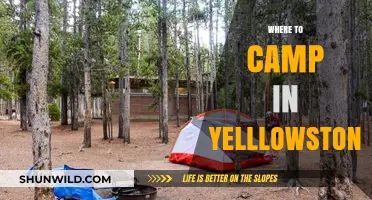 Exploring Yellowstone: Top Campsites for an Unforgettable Adventure