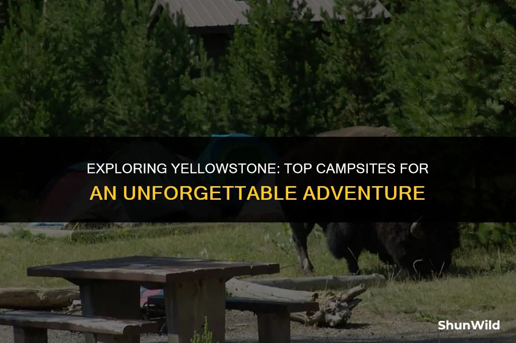 where to camp in yelllowstone