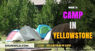 Best Yellowstone Camping Spots: Top Campgrounds for an Unforgettable Adventure