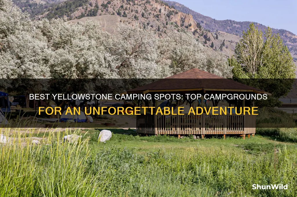 where to camp in yellowstone